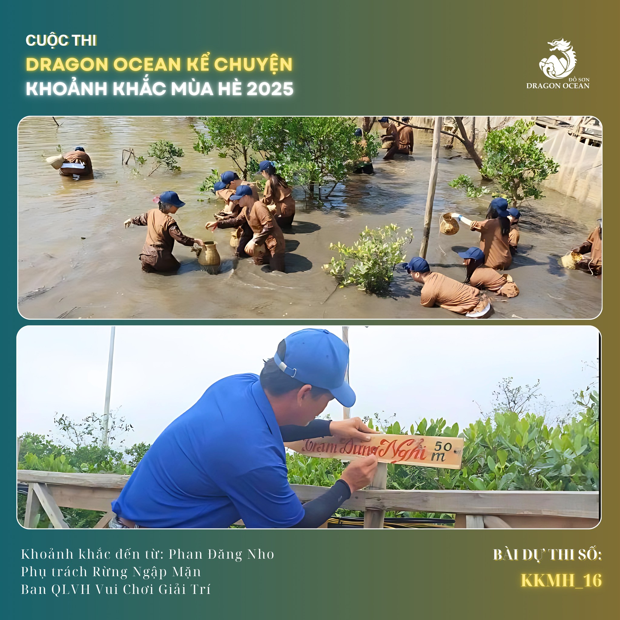 BÀI DỰ THI CUỘC THI DRAGON OCEAN KỂ CHUYỆN – KHOẢNH KHẮC MÙA HÈ 2025 – MÃ SỐ 16